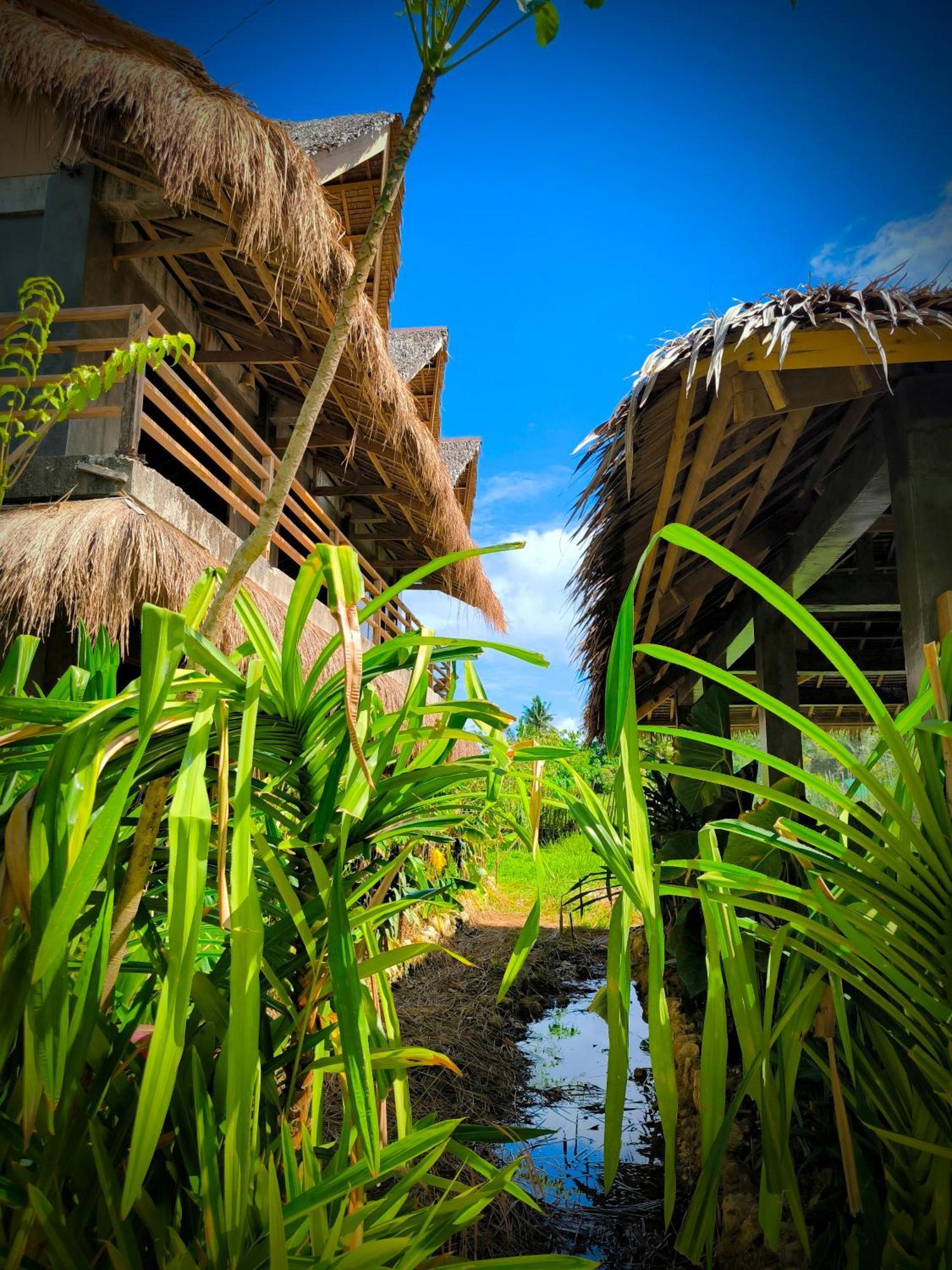 The Ohm Siargao Resort General Luna  Extérieur photo