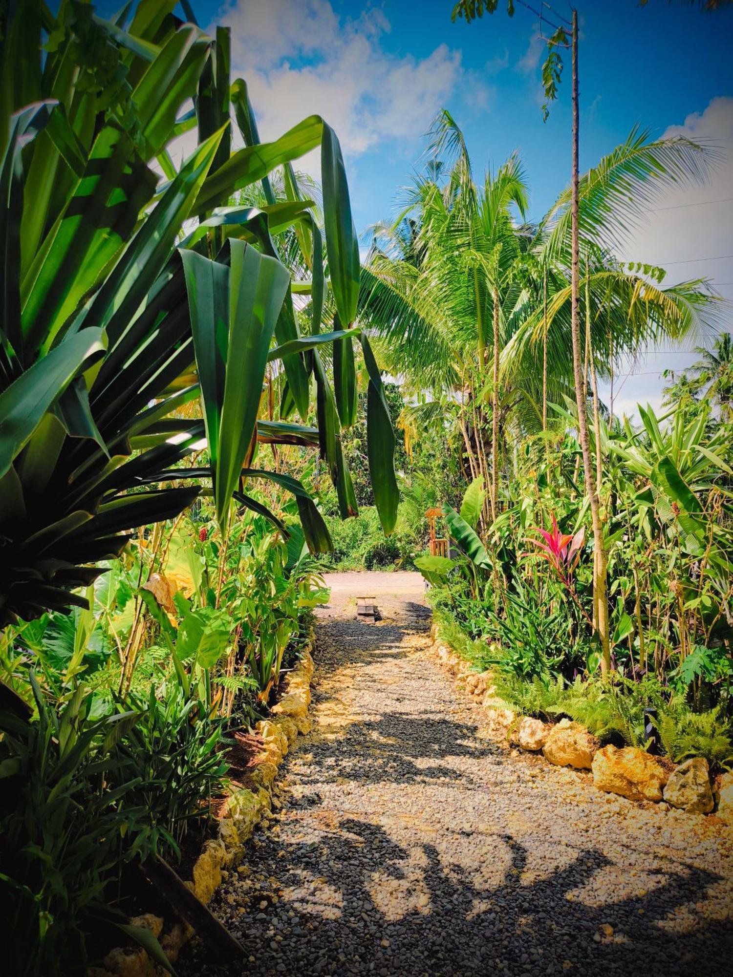 The Ohm Siargao Resort General Luna  Extérieur photo