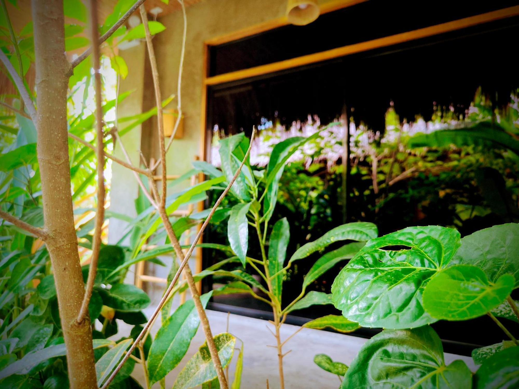 The Ohm Siargao Resort General Luna  Extérieur photo