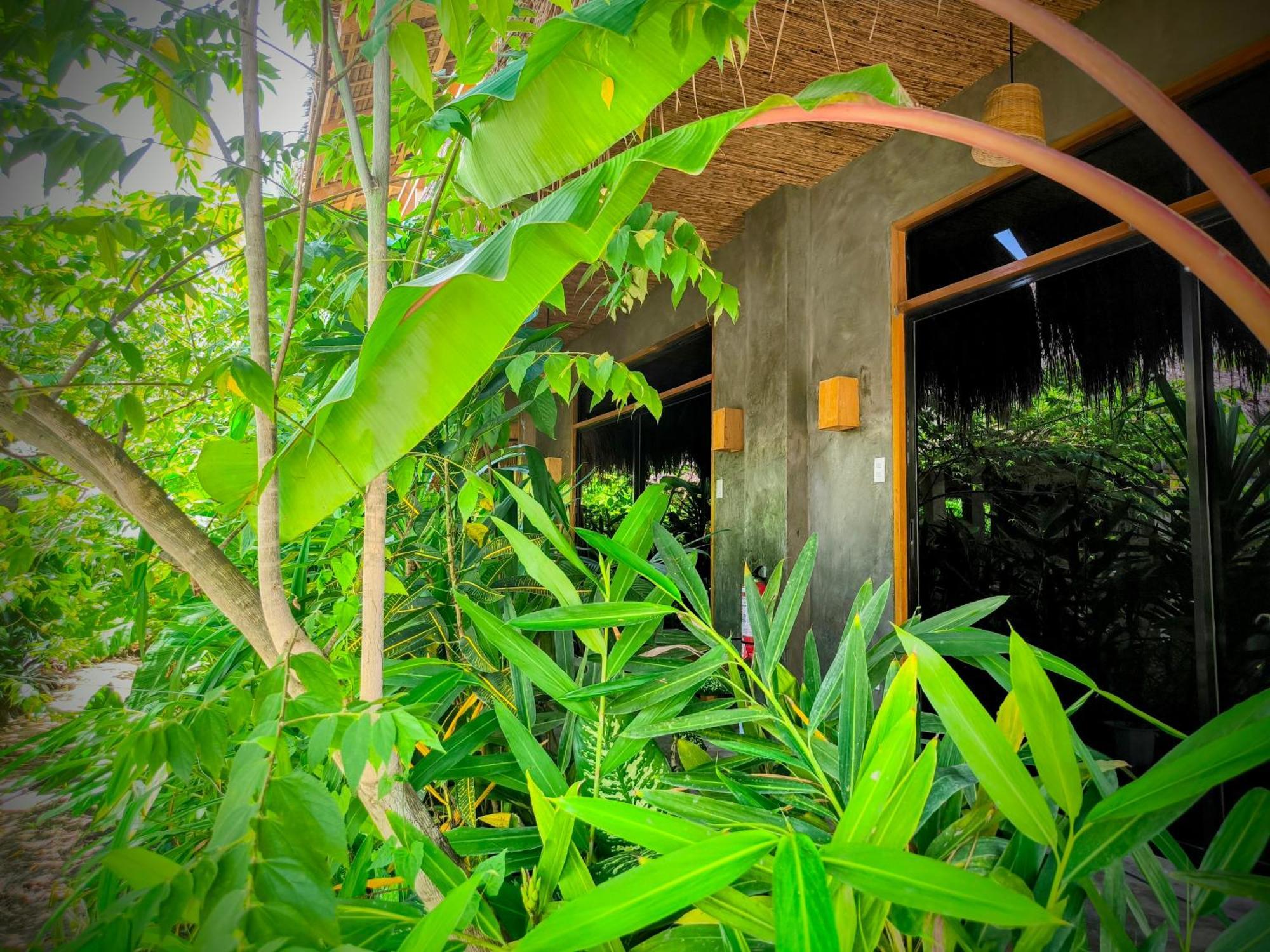 The Ohm Siargao Resort General Luna  Extérieur photo